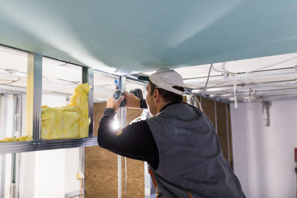 Best Geographic-Specific Insulation Services in Mount Vernon, AL