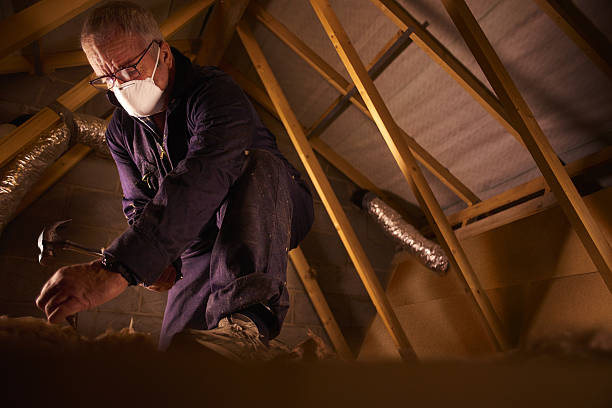 Best Commercial Insulation in Mount Vernon, AL